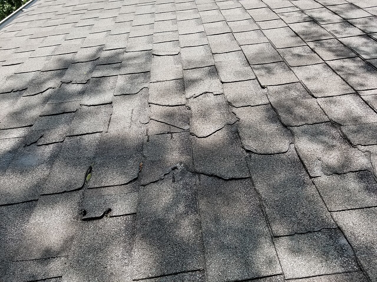 Storm Damage & Insurance Claims